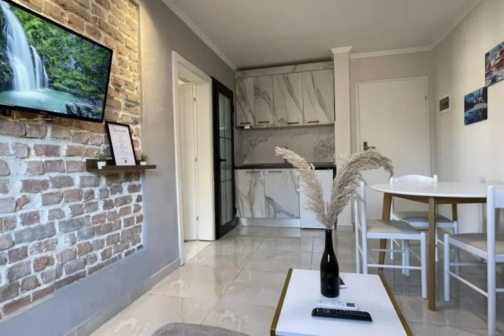 Central Apartment M. Shyri Str.1 ティラナ